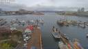./images/victoria/wharf/20190414/wharf20190414_095955.jpg