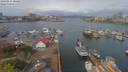 ./images/victoria/wharf/20190414/wharf20190414_104457.jpg