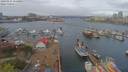 ./images/victoria/wharf/20190414/wharf20190414_114450.jpg