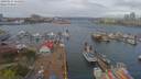./images/victoria/wharf/20190414/wharf20190414_114950.jpg
