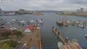 ./images/victoria/wharf/20190414/wharf20190414_120451.jpg