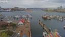 ./images/victoria/wharf/20190414/wharf20190414_120951.jpg