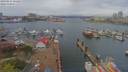 ./images/victoria/wharf/20190414/wharf20190414_121451.jpg