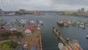./images/victoria/wharf/20190414/wharf20190414_121952.jpg