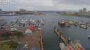 ./images/victoria/wharf/20190414/wharf20190414_122452.jpg