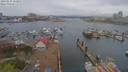 ./images/victoria/wharf/20190414/wharf20190414_123953.jpg