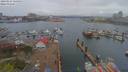 ./images/victoria/wharf/20190414/wharf20190414_124953.jpg