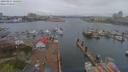 ./images/victoria/wharf/20190414/wharf20190414_125453.jpg