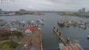./images/victoria/wharf/20190414/wharf20190414_125953.jpg