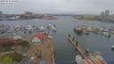 ./images/victoria/wharf/20190414/wharf20190414_131454.jpg