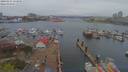 ./images/victoria/wharf/20190414/wharf20190414_133955.jpg