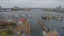 ./images/victoria/wharf/20190414/wharf20190414_134456.jpg