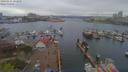 ./images/victoria/wharf/20190414/wharf20190414_151950.jpg