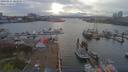 ./images/victoria/wharf/20190414/wharf20190414_181949.jpg