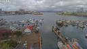 ./images/victoria/wharf/20190415/wharf20190415_095952.jpg