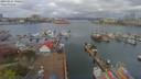 ./images/victoria/wharf/20190415/wharf20190415_100453.jpg