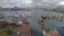 ./images/victoria/wharf/20190415/wharf20190415_100953.jpg