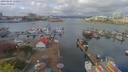 ./images/victoria/wharf/20190415/wharf20190415_110955.jpg