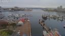 ./images/victoria/wharf/20190416/wharf20190416_095954.jpg
