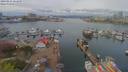 ./images/victoria/wharf/20190416/wharf20190416_121449.jpg