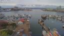 ./images/victoria/wharf/20190416/wharf20190416_122450.jpg