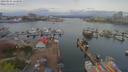 ./images/victoria/wharf/20190416/wharf20190416_123950.jpg