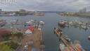 ./images/victoria/wharf/20190416/wharf20190416_144956.jpg