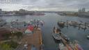 ./images/victoria/wharf/20190416/wharf20190416_164951.jpg