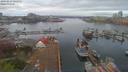 ./images/victoria/wharf/20190417/wharf20190417_062952.jpg
