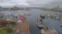 ./images/victoria/wharf/20190417/wharf20190417_095449.jpg