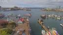 ./images/victoria/wharf/20190417/wharf20190417_122455.jpg