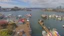 ./images/victoria/wharf/20190417/wharf20190417_125456.jpg