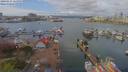 ./images/victoria/wharf/20190417/wharf20190417_125956.jpg