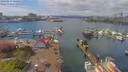 ./images/victoria/wharf/20190417/wharf20190417_130956.jpg