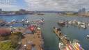 ./images/victoria/wharf/20190417/wharf20190417_131957.jpg