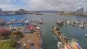 ./images/victoria/wharf/20190417/wharf20190417_132457.jpg