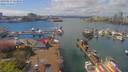 ./images/victoria/wharf/20190417/wharf20190417_133957.jpg