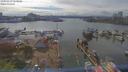 ./images/victoria/wharf/20190417/wharf20190417_154952.jpg