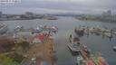 ./images/victoria/wharf/20190417/wharf20190417_172956.jpg