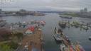 ./images/victoria/wharf/20190417/wharf20190417_181457.jpg