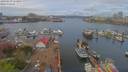 ./images/victoria/wharf/20190419/wharf20190419_113954.jpg