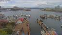 ./images/victoria/wharf/20190419/wharf20190419_124457.jpg