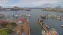 ./images/victoria/wharf/20190419/wharf20190419_124958.jpg