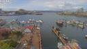 ./images/victoria/wharf/20190419/wharf20190419_125458.jpg