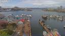 ./images/victoria/wharf/20190419/wharf20190419_125958.jpg