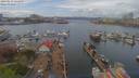 ./images/victoria/wharf/20190419/wharf20190419_131959.jpg