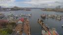 ./images/victoria/wharf/20190419/wharf20190419_132449.jpg