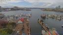 ./images/victoria/wharf/20190419/wharf20190419_134450.jpg