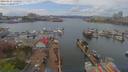 ./images/victoria/wharf/20190419/wharf20190419_134951.jpg