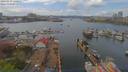 ./images/victoria/wharf/20190419/wharf20190419_140952.jpg